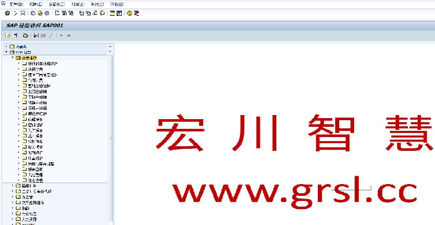 SAP物流管理系统操作界面.jpg